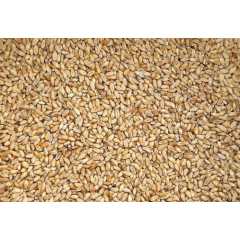 求购玉米、碎米、大米、小麦、大豆、棉粕等粮食作物图2