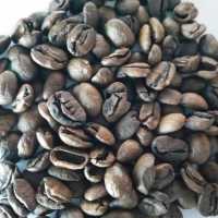 欢迎品尝墨江哈尼岩画庄园“咔哆金豆”生态咖啡制品