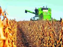 大豆生产支持政策只增不减