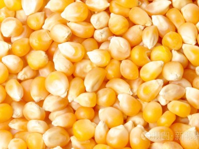 收购大量玉米、小麦、大米