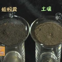 瓦力蚯蚓粪 植物通用型营养土