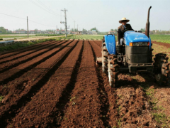 土壤保卫战：后代无忧引领绿色农业新革命