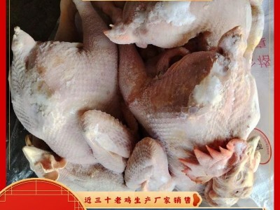 冷冻白条鸡系列产品山东有路老鸡屠宰厂家生产销售图5