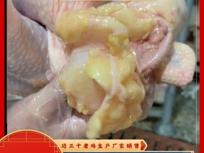冻鸡肉分割产品鸡心鸡胗鸡油鸡皮山东有路老鸡厂家出售图3