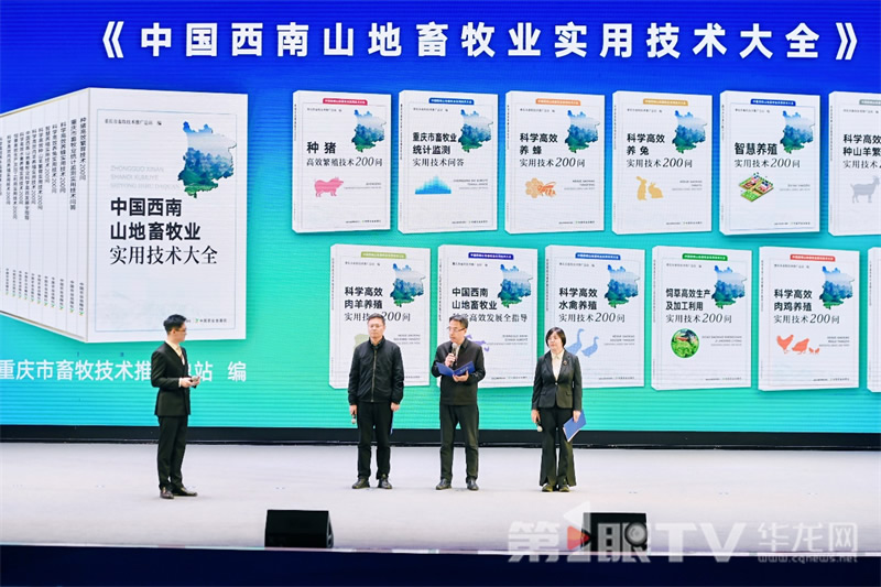 20251120773831.jpg 7.jpg