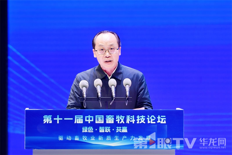 20251120657701.jpg 8.jpg