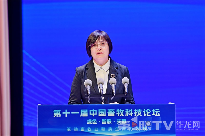 20251120208964.jpg 4.jpg