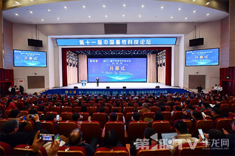 20251120254601.jpg 1.jpg