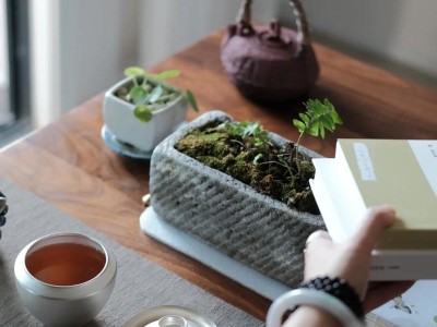 分享成都品茶喝茶攻略：这份成都品茶工作室畅游指南带你体验巴蜀茶趣图3