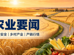 近十日三农要闻|夏粮丰收收官,产销对接迎来旺季
