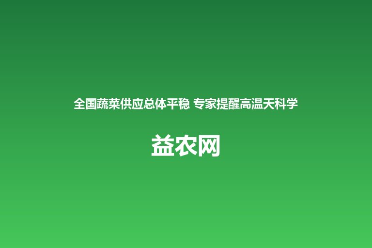 全国蔬菜供应总体平稳 专家提醒高温天科学吃菜安全度夏