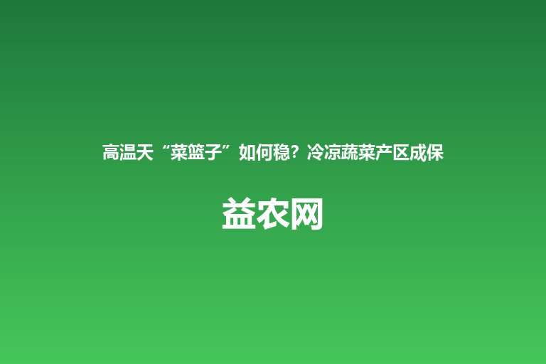 高温天“菜篮子”如何稳?冷凉蔬菜产区成保供主力
