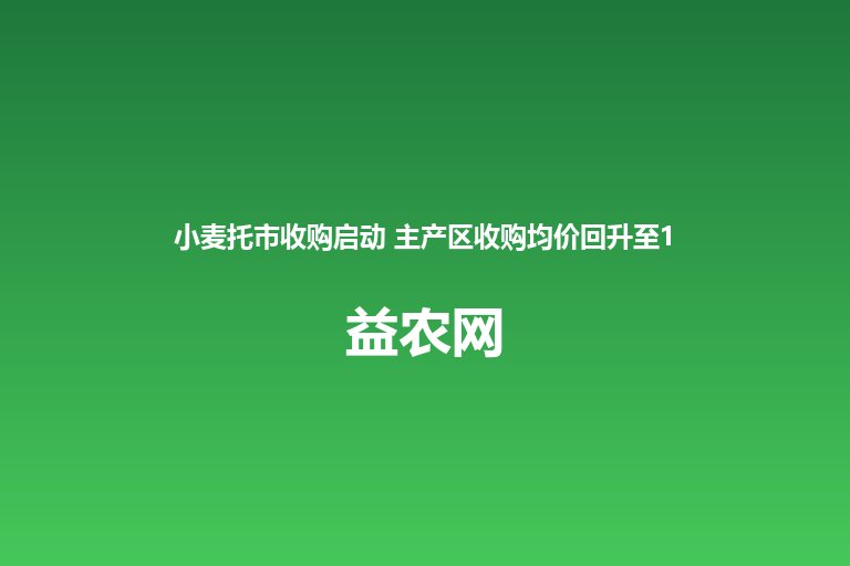 小麦托市收购启动 主产区收购均价回升至1.213元/斤