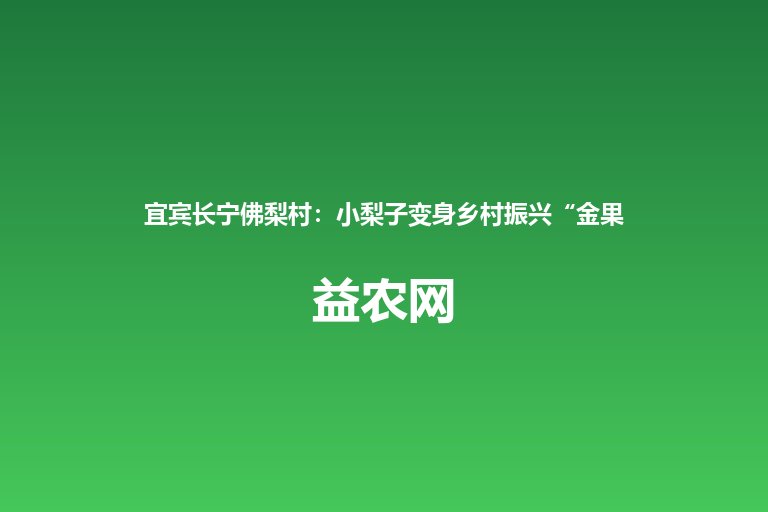 宜宾长宁佛梨村:小梨子变身乡村振兴“金果子”