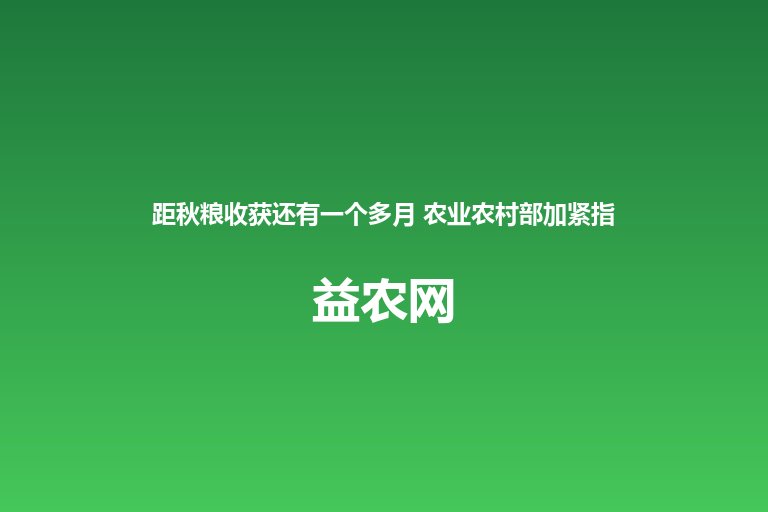 距秋粮收获还有一个多月 农业农村部加紧指导分区分类强化田间管