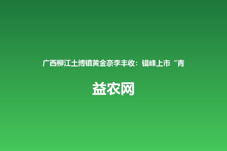 广西柳江土博镇黄金奈李丰收:错峰上市“青山结出黄金果” 鼓起