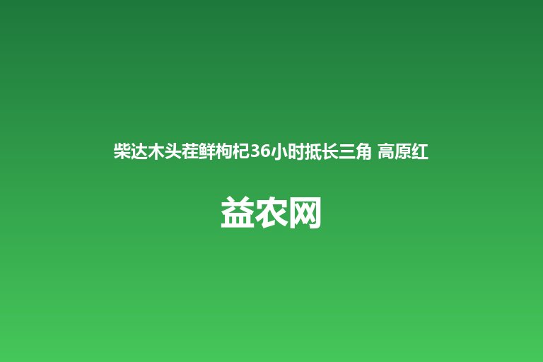 柴达木头茬鲜枸杞36小时抵长三角 高原红果走俏江南