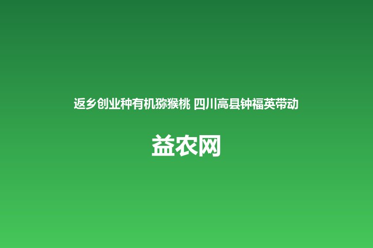 返乡创业种有机猕猴桃 四川高县钟福英带动百余户家庭共发展