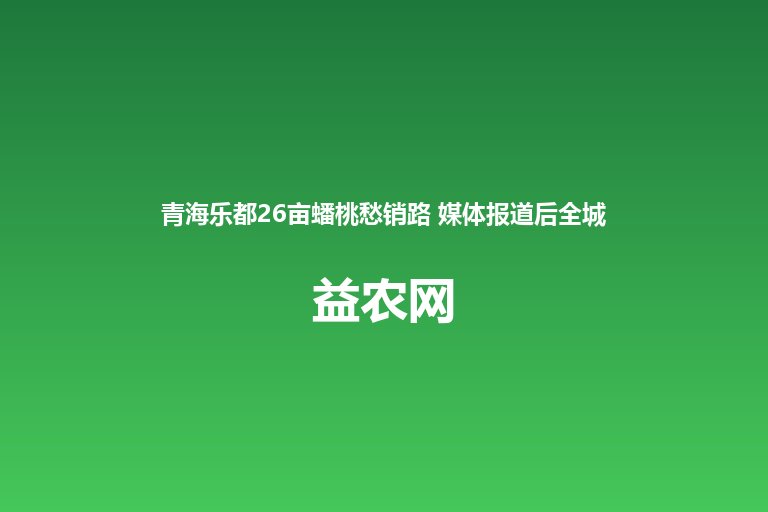 青海乐都26亩蟠桃愁销路 媒体报道后全城爱心接力涌向桃园
