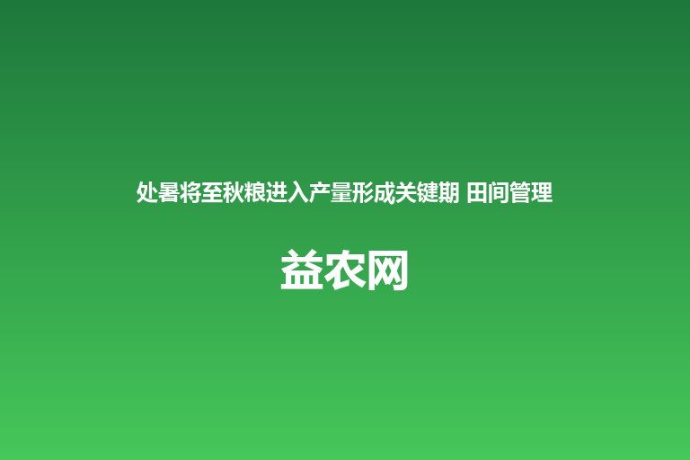 处暑将至秋粮进入产量形成关键期 田间管理防病增产牢记五要点