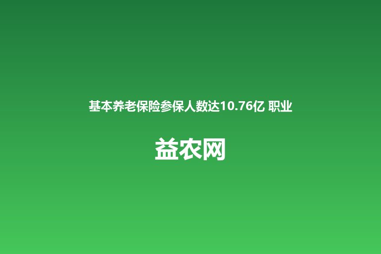 基本养老保险参保人数达10.76亿 职业伤害保障试点扩至全国