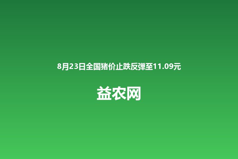 8月23日全国猪价止跌反弹至11.09元/公斤 月末重心或逐