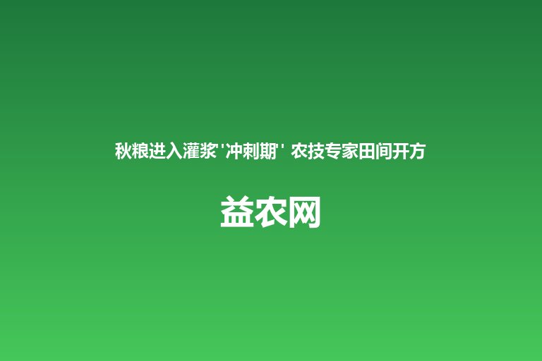 秋粮进入灌浆