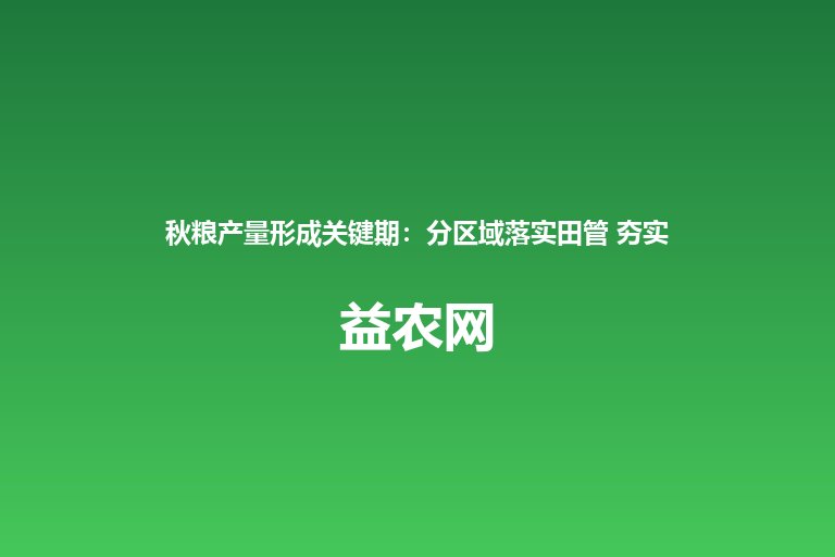 秋粮产量形成关键期:分区域落实田管 夯实丰收基础