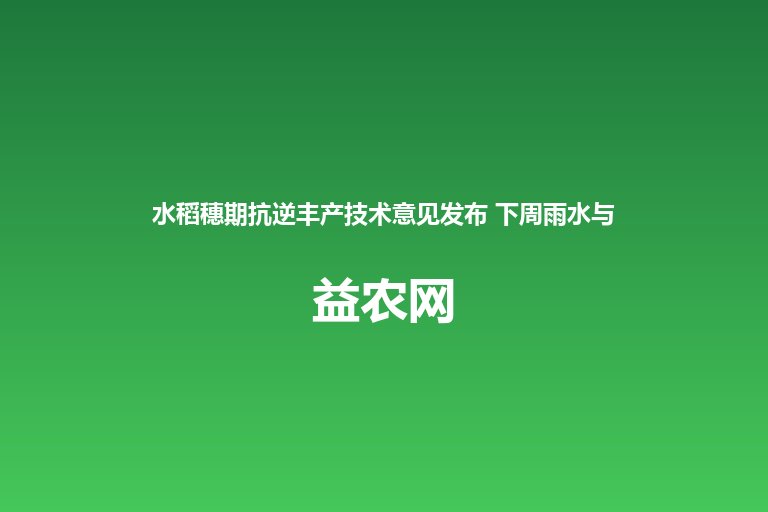 水稻穗期抗逆丰产技术意见发布 下周雨水与抽穗扬花期重合 精准