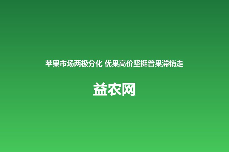 苹果市场两极分化 优果高价坚挺普果滞销走弱 通货风险暗藏精品