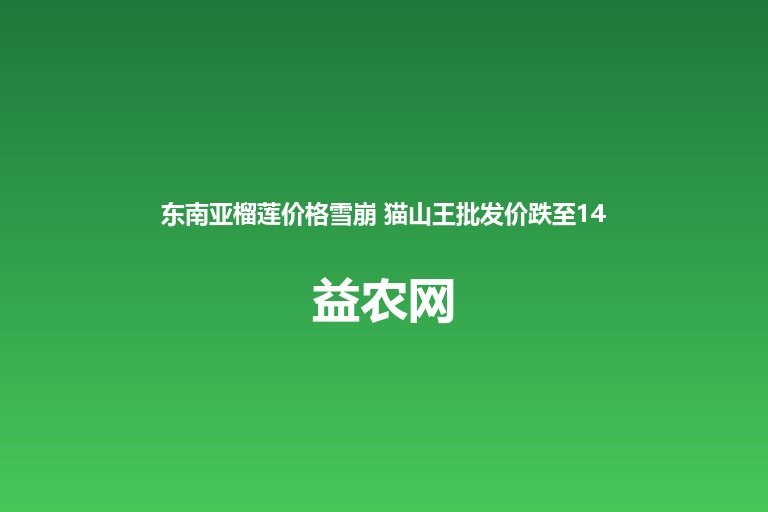 东南亚榴莲价格雪崩 猫山王批发价跌至14元 黑刺从170跌到