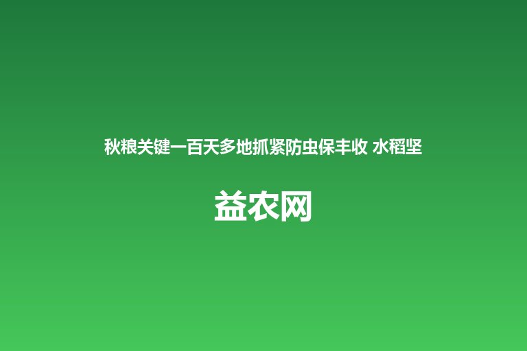 秋粮关键一百天多地抓紧防虫保丰收 水稻坚持预防为主治小治早