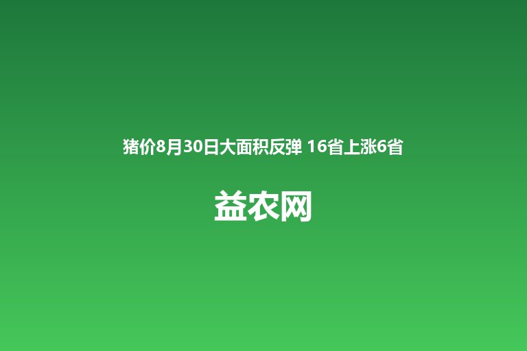 猪价8月30日大面积反弹 16省上涨6省持平无一下跌 全国均