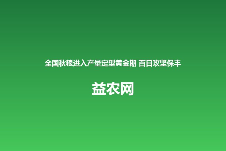 全国秋粮进入产量定型黄金期 百日攻坚保丰收 大雨后疏通沟渠 