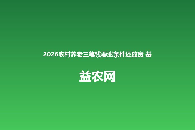 2026农村养老三笔钱要涨条件还放宽 基础养老金提至163元