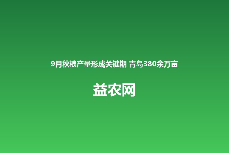 9月秋粮产量形成关键期 青岛380余万亩防灾减灾三大环节 水