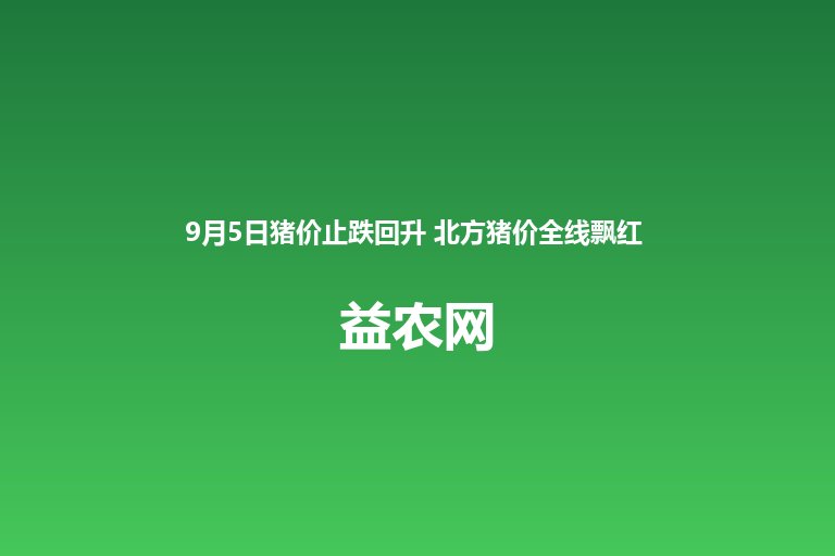 9月5日猪价止跌回升 北方猪价全线飘红 全国生猪均价约5.5