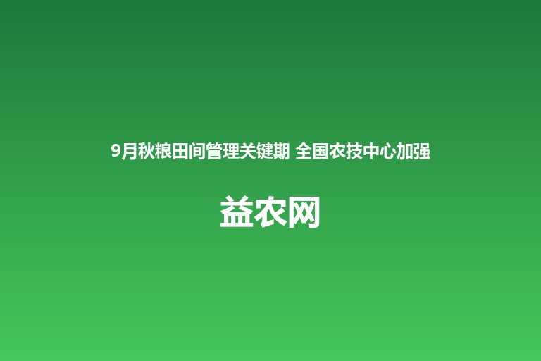 9月秋粮田间管理关键期 全国农技中心加强秋粮作物重大病虫害防