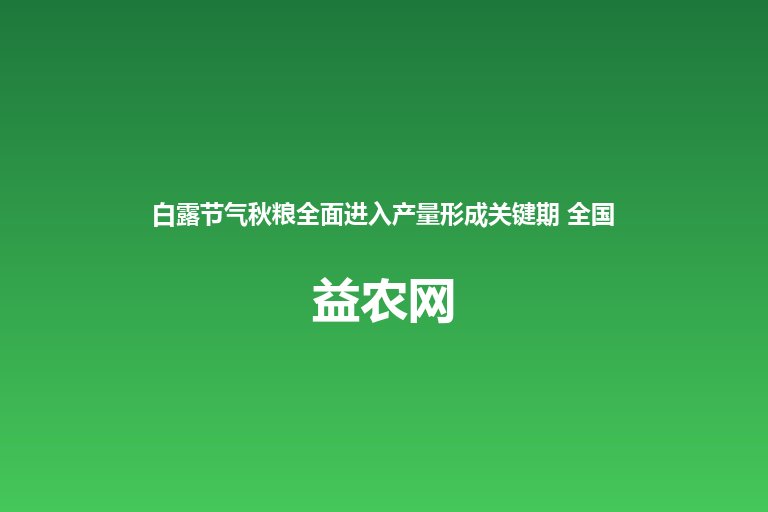 白露节气秋粮全面进入产量形成关键期 全国30万架无人机巡田