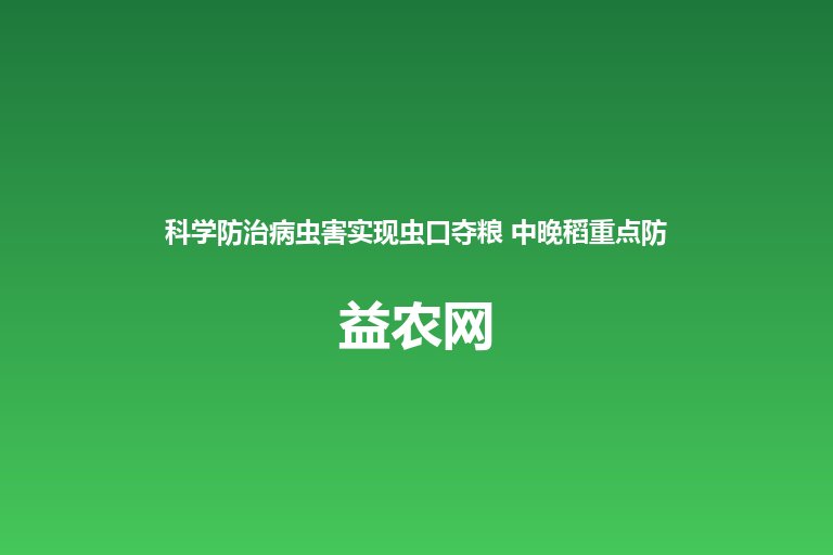 科学防治病虫害实现虫口夺粮 中晚稻重点防控稻飞虱二化螟稻纵卷