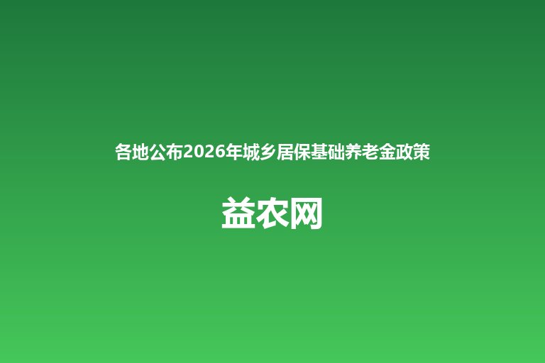 各地公布2026年城乡居保基础养老金政策清单 65岁以上加发