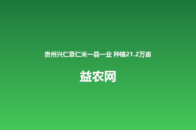 贵州兴仁薏仁米一县一业 种植21.2万亩综合产值超30亿元 