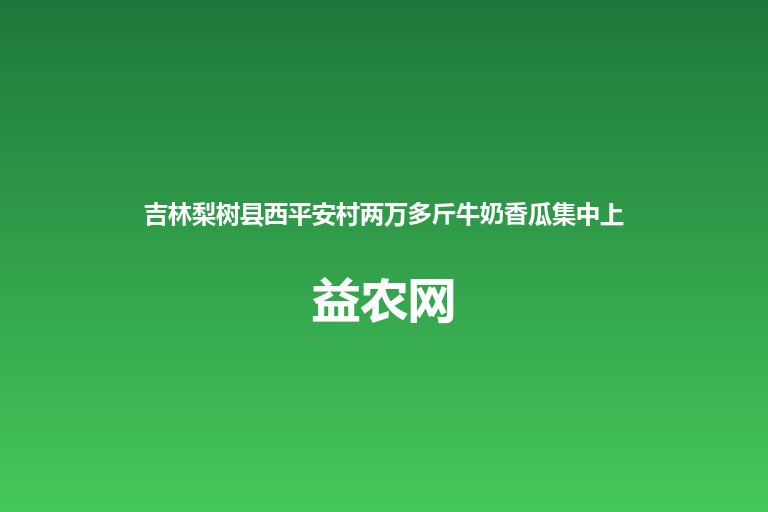 吉林梨树县西平安村两万多斤牛奶香瓜集中上市 产能过剩销路不畅
