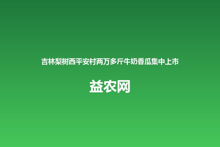 吉林梨树西平安村两万多斤牛奶香瓜集中上市 产能过剩急寻采购商