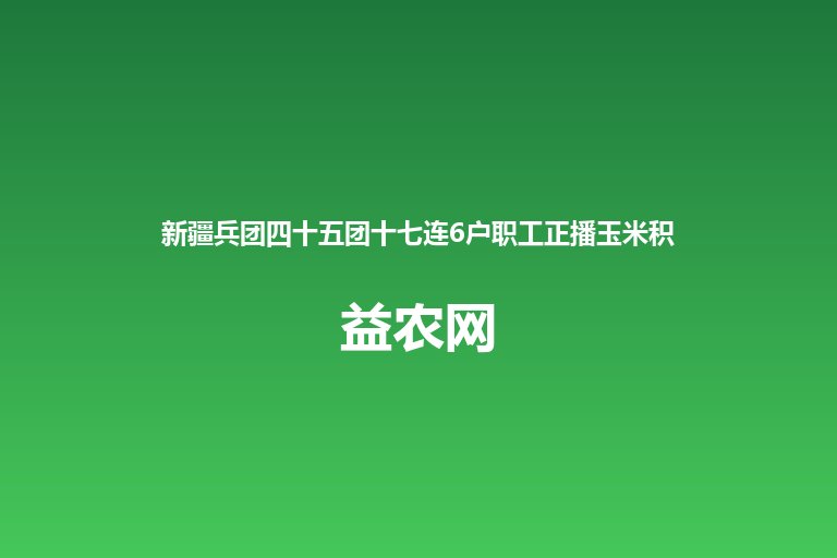 新疆兵团四十五团十七连6户职工正播玉米积压滞销 连队党支部对