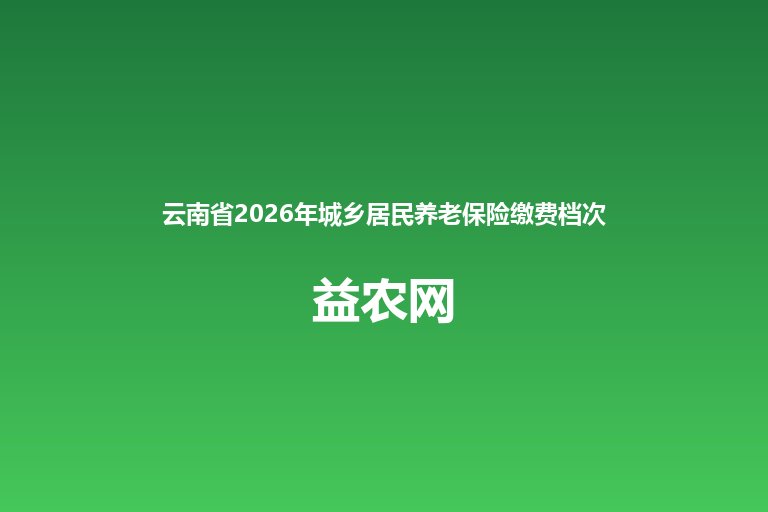 云南省2026年城乡居民养老保险缴费档次调整 最低300元最