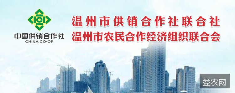 农业农村部6个工作组赴12省督导“三秋” 印发小麦秋冬种技术