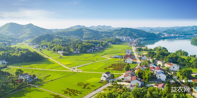 供销社地头直采破解“卖菜难” 临潼芹菜洛浦葡萄滞销得纾解