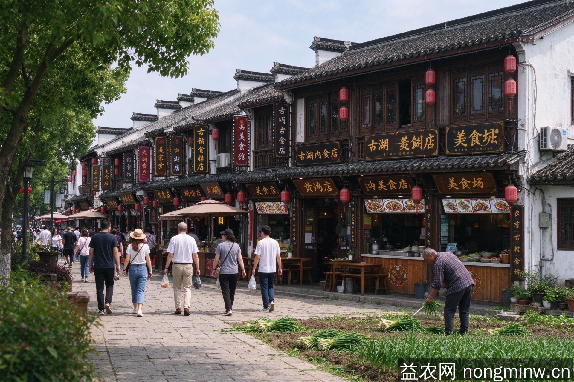 太湖南岸六村组团发展 老渔市改一里飨美食街17家门店 河南叶县韭菜辐射14村年产值1.8亿元